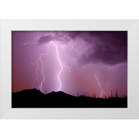 Striking Symmetry II White Modern Wood Framed Art Print by Taylor, Douglas