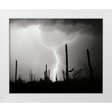 Electric Desert II - BW White Modern Wood Framed Art Print by Taylor, Douglas