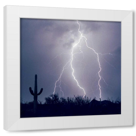 Electric Desert III White Modern Wood Framed Art Print by Taylor, Douglas
