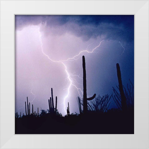 Electric Desert IV White Modern Wood Framed Art Print by Taylor, Douglas