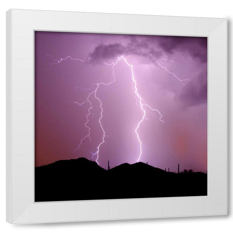 Summer Lightning I White Modern Wood Framed Art Print by Taylor, Douglas