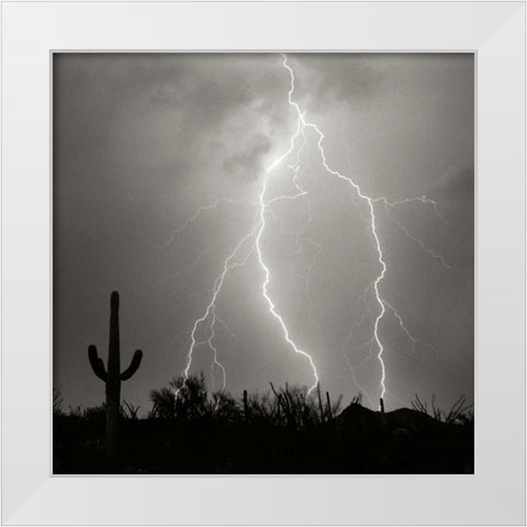 Electric Desert III - BW White Modern Wood Framed Art Print by Taylor, Douglas