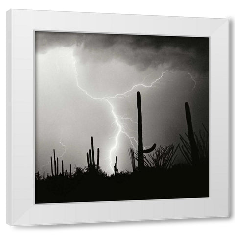 Electric Desert IV - BW White Modern Wood Framed Art Print by Taylor, Douglas