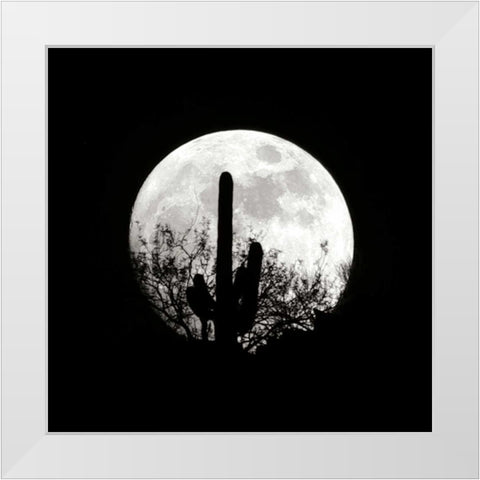 Moonrise in May II White Modern Wood Framed Art Print by Taylor, Douglas