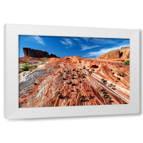 Sands of Time II White Modern Wood Framed Art Print by Taylor, Douglas