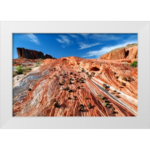 Sands of Time II White Modern Wood Framed Art Print by Taylor, Douglas
