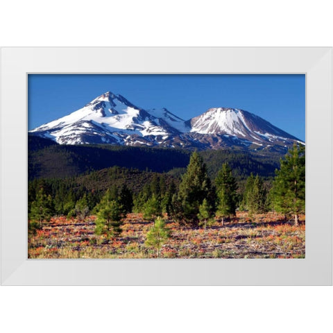 Morning in Shasta White Modern Wood Framed Art Print by Taylor, Douglas