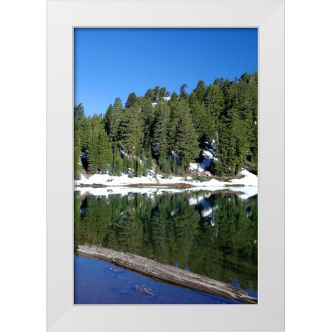 Emerald Lake White Modern Wood Framed Art Print by Taylor, Douglas
