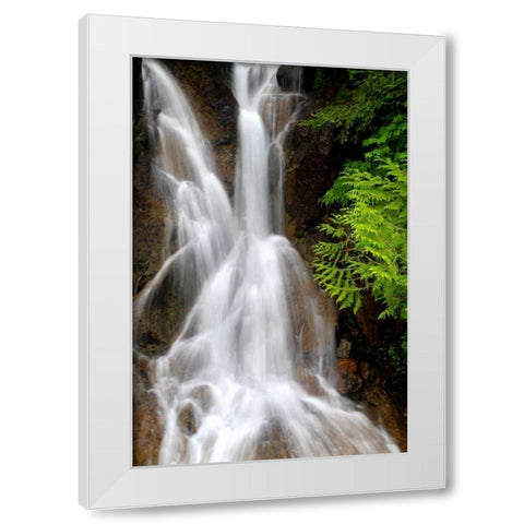 Falling Water I White Modern Wood Framed Art Print by Taylor, Douglas