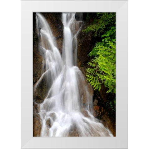 Falling Water I White Modern Wood Framed Art Print by Taylor, Douglas