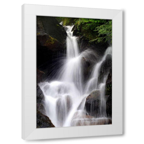 Falling Water II White Modern Wood Framed Art Print by Taylor, Douglas