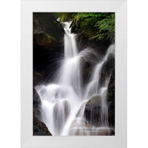 Falling Water II White Modern Wood Framed Art Print by Taylor, Douglas