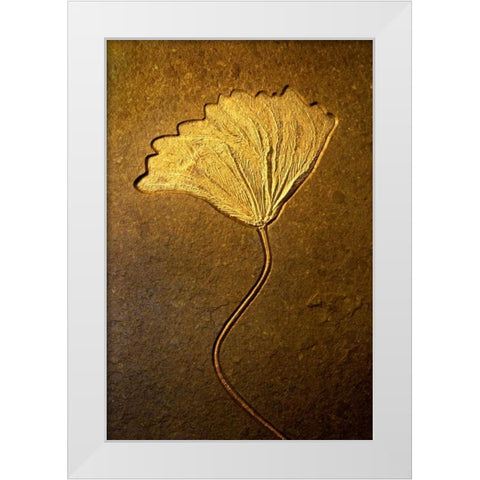 Crinoids II White Modern Wood Framed Art Print by Taylor, Douglas