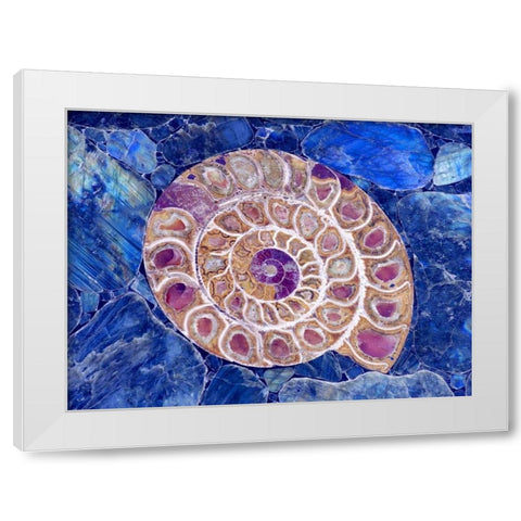 Ammonite in Labradorite White Modern Wood Framed Art Print by Taylor, Douglas