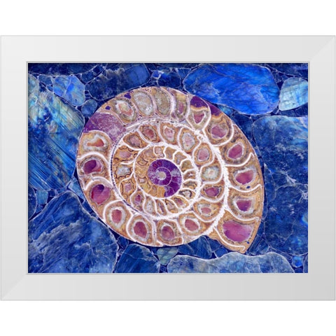 Ammonite in Labradorite White Modern Wood Framed Art Print by Taylor, Douglas