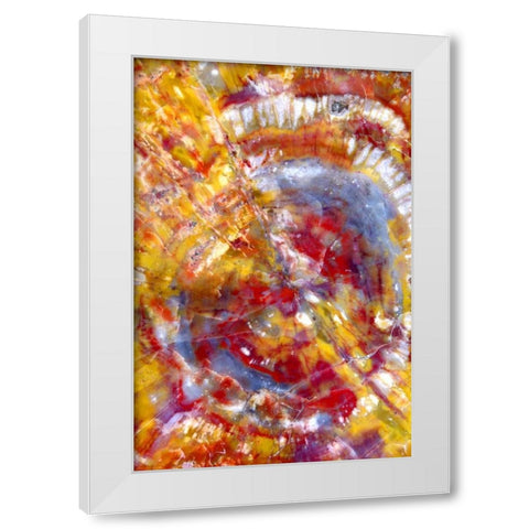 Spiral Galaxy White Modern Wood Framed Art Print by Taylor, Douglas