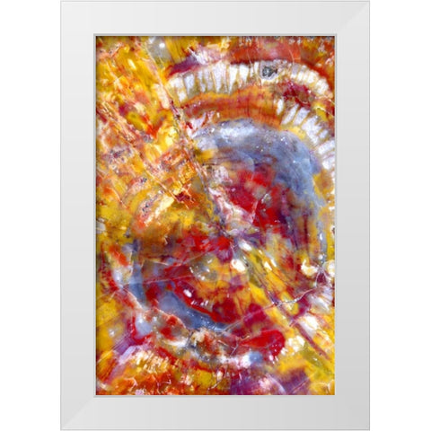 Spiral Galaxy White Modern Wood Framed Art Print by Taylor, Douglas
