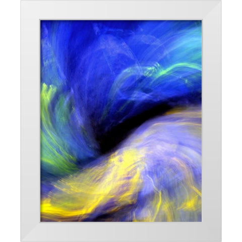 Black Opal White Modern Wood Framed Art Print by Taylor, Douglas