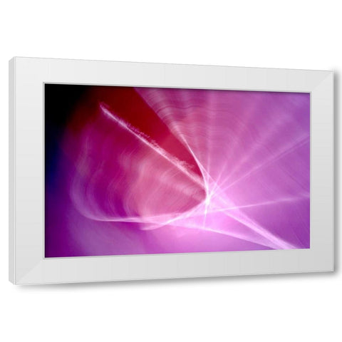 The Shell White Modern Wood Framed Art Print by Taylor, Douglas