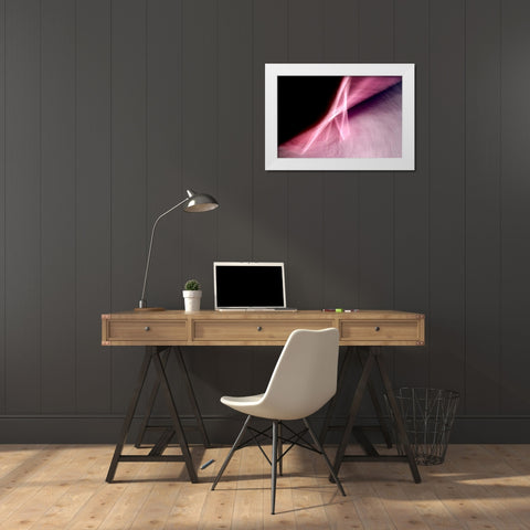 Flying A White Modern Wood Framed Art Print by Taylor, Douglas