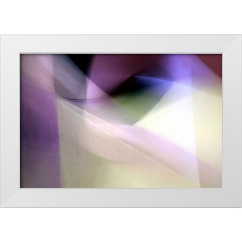 Tazza White Modern Wood Framed Art Print by Taylor, Douglas