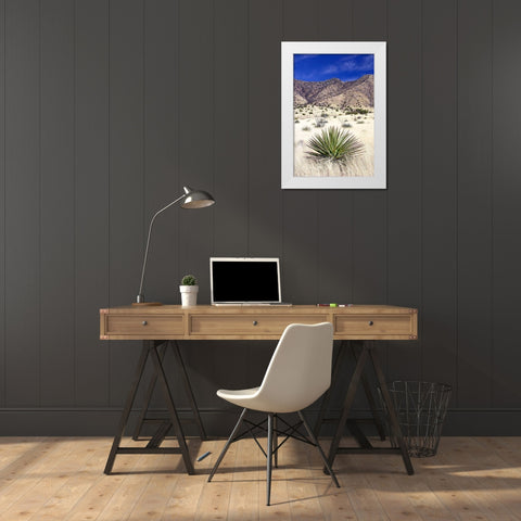 Desert Grasslands I White Modern Wood Framed Art Print by Taylor, Douglas