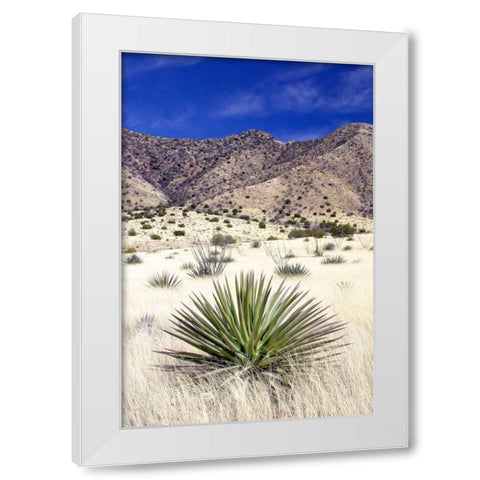 Desert Grasslands I White Modern Wood Framed Art Print by Taylor, Douglas