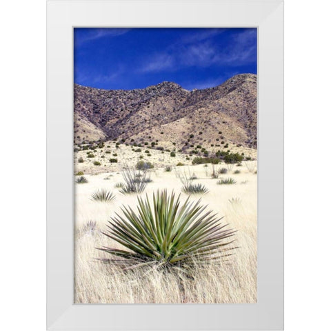 Desert Grasslands I White Modern Wood Framed Art Print by Taylor, Douglas