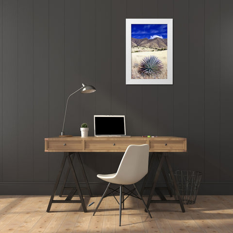 Desert Grasslands II White Modern Wood Framed Art Print by Taylor, Douglas
