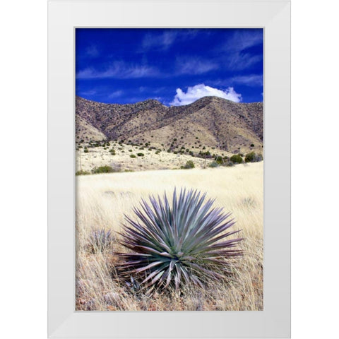 Desert Grasslands II White Modern Wood Framed Art Print by Taylor, Douglas