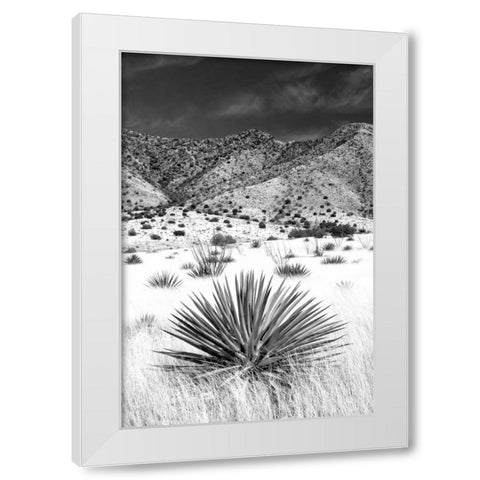 Desert Grasslands I BW White Modern Wood Framed Art Print by Taylor, Douglas