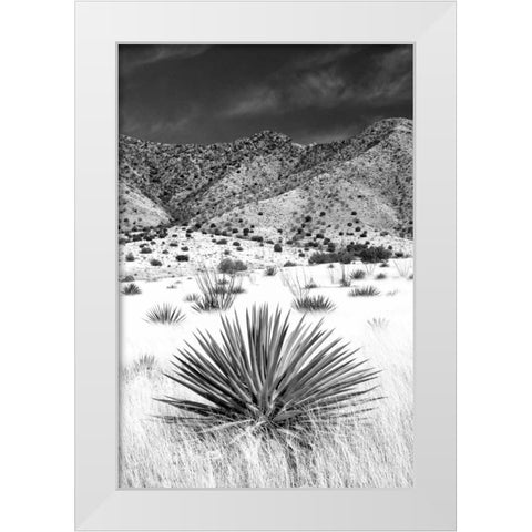 Desert Grasslands I BW White Modern Wood Framed Art Print by Taylor, Douglas
