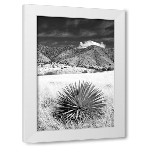 Desert Grasslands II BW White Modern Wood Framed Art Print by Taylor, Douglas
