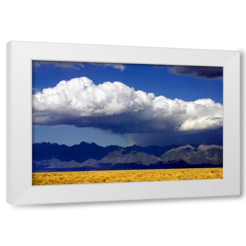 Cool Colorado Rain White Modern Wood Framed Art Print by Taylor, Douglas
