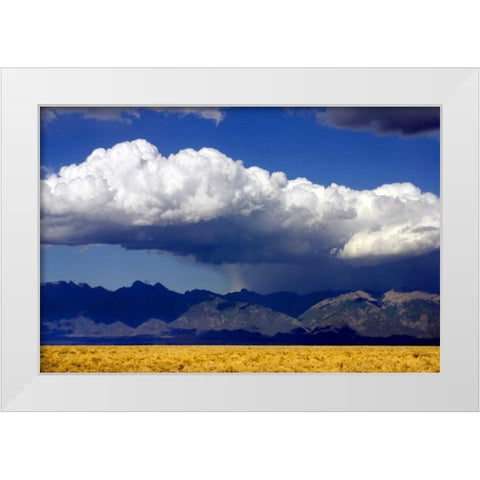 Cool Colorado Rain White Modern Wood Framed Art Print by Taylor, Douglas
