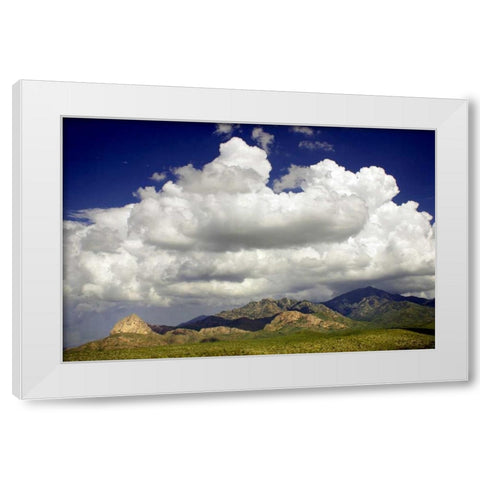 Santa Rita Mountains in August White Modern Wood Framed Art Print by Taylor, Douglas