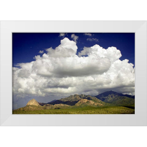 Santa Rita Mountains in August White Modern Wood Framed Art Print by Taylor, Douglas