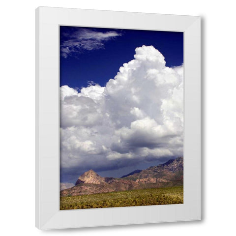 Gathering Summer Storm White Modern Wood Framed Art Print by Taylor, Douglas