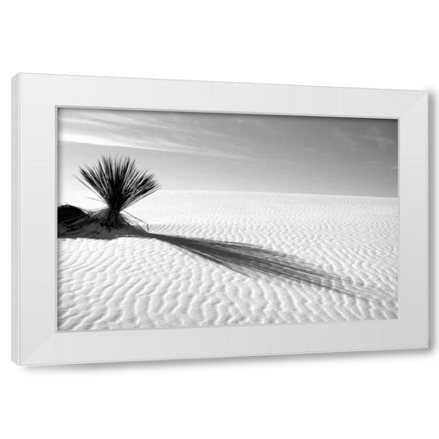 Shadows in the Sand I White Modern Wood Framed Art Print by Taylor, Douglas