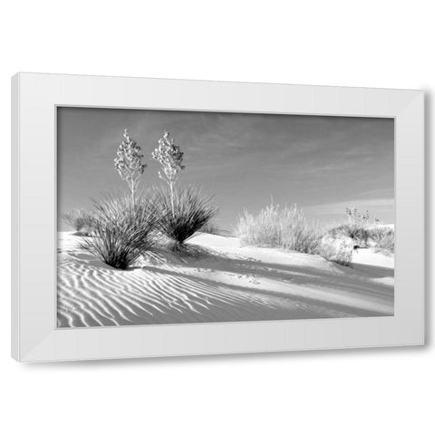 Shadows in the Sand II White Modern Wood Framed Art Print by Taylor, Douglas