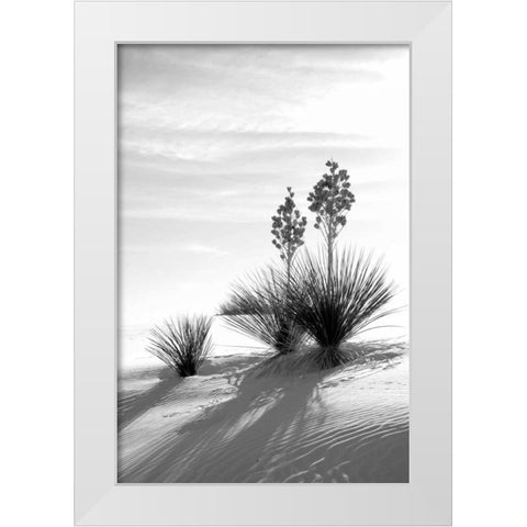Yucca At White Sands II White Modern Wood Framed Art Print by Taylor, Douglas