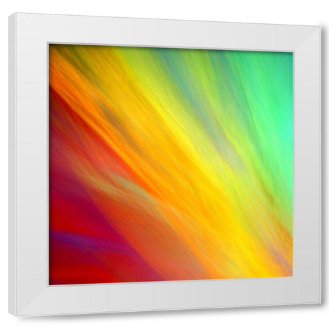 Brushfire I White Modern Wood Framed Art Print by Taylor, Douglas