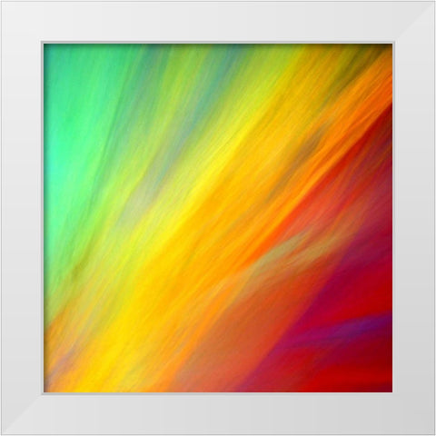 Brushfire II White Modern Wood Framed Art Print by Taylor, Douglas