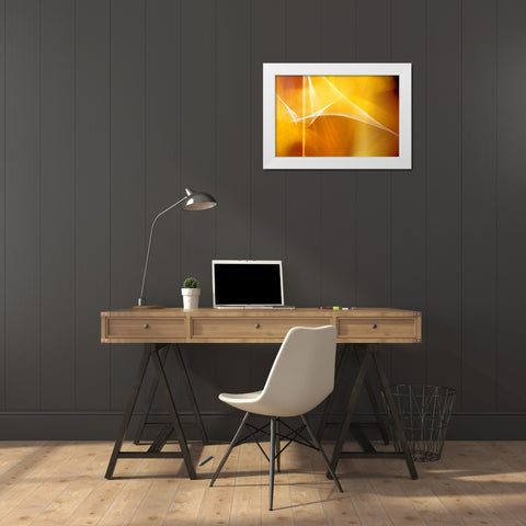 Amber Abstract II White Modern Wood Framed Art Print by Taylor, Douglas