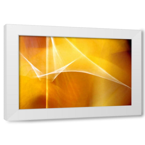 Amber Abstract II White Modern Wood Framed Art Print by Taylor, Douglas