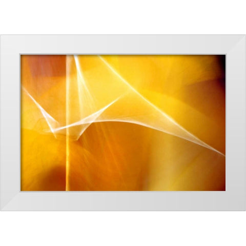 Amber Abstract II White Modern Wood Framed Art Print by Taylor, Douglas