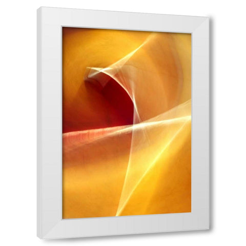 Ballet of Light White Modern Wood Framed Art Print by Taylor, Douglas