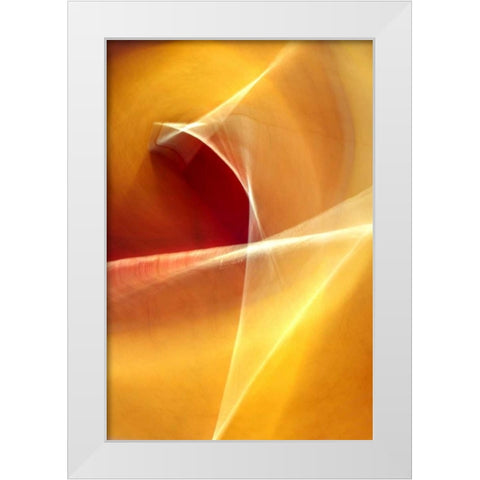 Ballet of Light White Modern Wood Framed Art Print by Taylor, Douglas