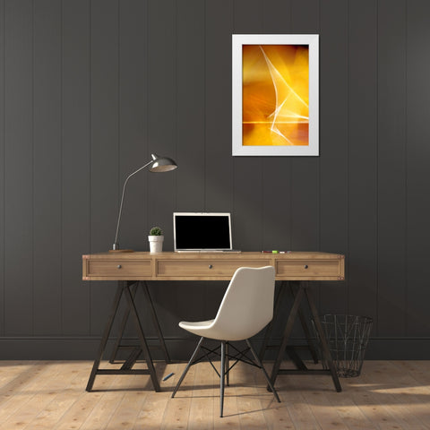 Amber Refraction I White Modern Wood Framed Art Print by Taylor, Douglas