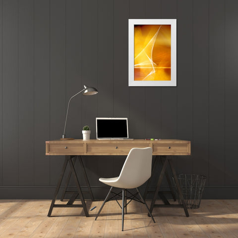 Amber Refraction II White Modern Wood Framed Art Print by Taylor, Douglas